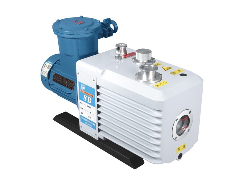 Explosion-proof direct-coupled rotary vane vacuum pump