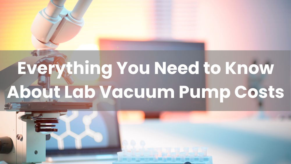 Everything You Need to Know About Lab Vacuum Pump Costs - Maisi